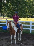 Entraînement pour chevaux et poulains