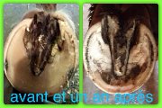 Parage Naturel et correctif