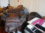 articles pour cheveaux a vendres