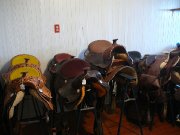 articles pour cheveaux a vendres
