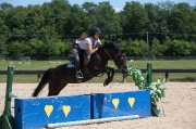 SMALL PONY DE 5 ANS - POTENTIEL POUR LE RAWF