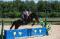 SMALL PONY DE 5 ANS - POTENTIEL POUR LE RAWF