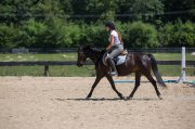 SMALL PONY DE 5 ANS - POTENTIEL POUR LE RAWF