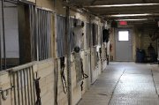 Pension pour chevaux Rive-Sud de Montréal