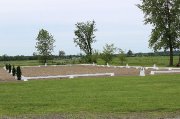 Pension pour chevaux Rive-Sud de Montréal
