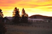 Pension chez brindy ranch