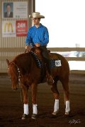 Cheval Reining 5 ans