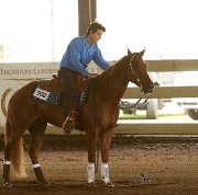 Cheval Reining 5 ans
