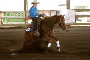Cheval Reining 5 ans