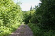 Pension avec manège intérieur à Racine (Estrie)