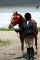 Quarter Horse 5 ans