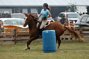 Quarter Horse 5 ans
