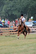 Quarter Horse 5 ans