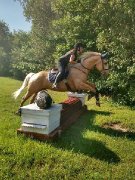 Demi-pension sur cheval exeptionnel