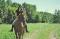 Cours d'équitation classique dans Lanaudière