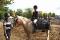 Parfait poney d'étrivières courtes à louer