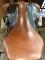 Selle Gazelle Arc de Triomphe 18