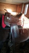 Belle selle western