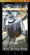 Selle de dressage 