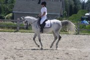 Jument de saut/dressage pour demi pension/location ou vente 
