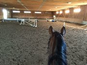 Cours D'équitation Rive-Sud