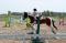 Cours D'équitation Rive-Sud