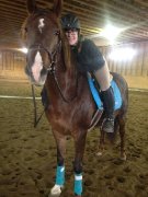 Cours D'équitation Rive-Sud