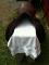 Selle de saut Pariani