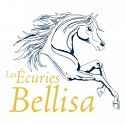 Box disponible pour cheval en convalescence