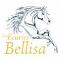 Box disponible pour cheval en convalescence