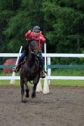 Cheval Appendix de 9ans 