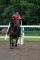 Cheval Appendix de 9ans 