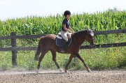 Cours d'équitation abordables 