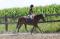 Cours d'équitation abordables 
