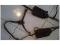 Selle Australienne, The AUSTRALIAN STOCK SADDLE...