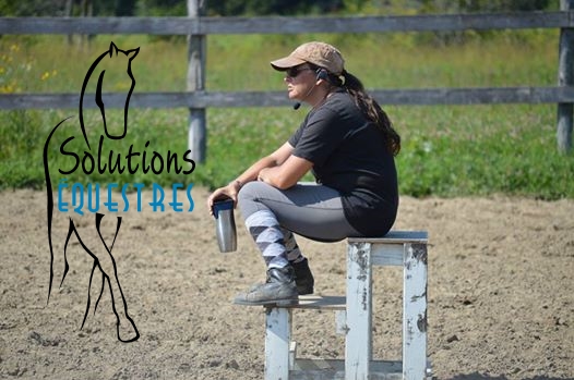 Coaching en dressage à domicile