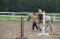 Cours d'équitation classique