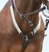 Breast Plate Mondega neuf