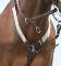 Breast Plate Mondega neuf