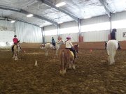 Cours d'équitation pour tous les niveaux