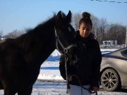 Poulain 8 mois Quater Horse X à échanger