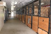 ST-ESPRIT - EMPLOI DE PALFRENIÈRE AVEC MAISON À LOUER