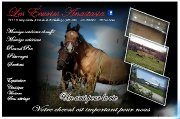 Pension pour chevaux dans l'Estrie Manège...