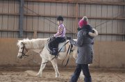 Cours d'équitation - entrainement compétition