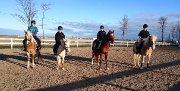 Cours d'équitation - entrainement compétition