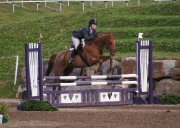 Cours d'équitation - entrainement compétition