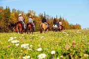 Guide de randonnée recherché pour l'été 2017
