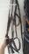 Bride cuir neuve grandeur Full