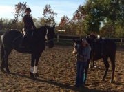 Demi Pension St Roch de L'Achigan Jument 16.3hh classique 
