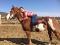 cheval paint
